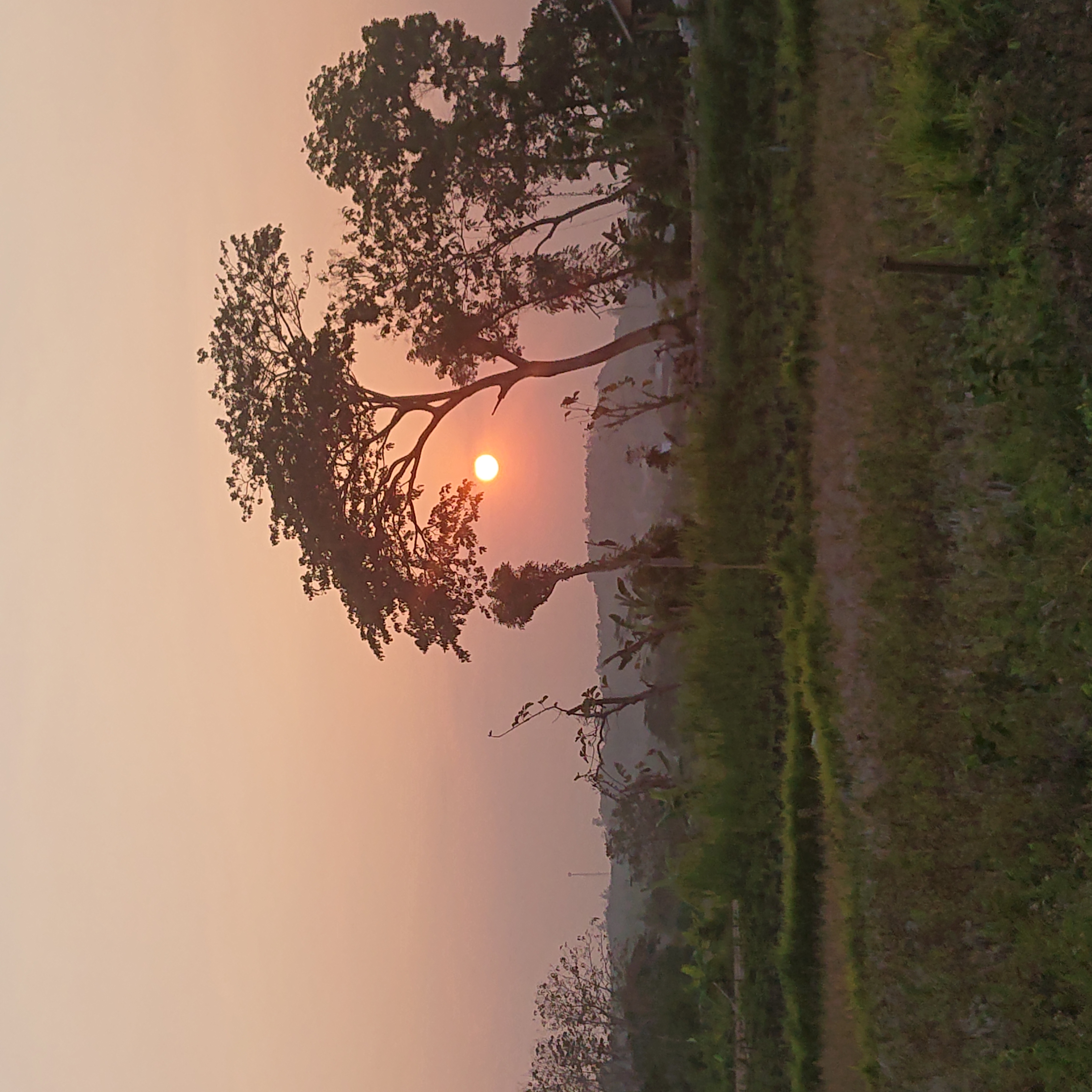 DSC 0148