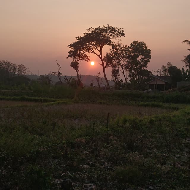 DSC 0149