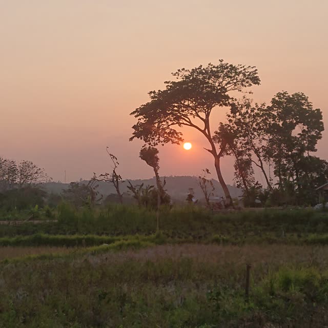 DSC 0148