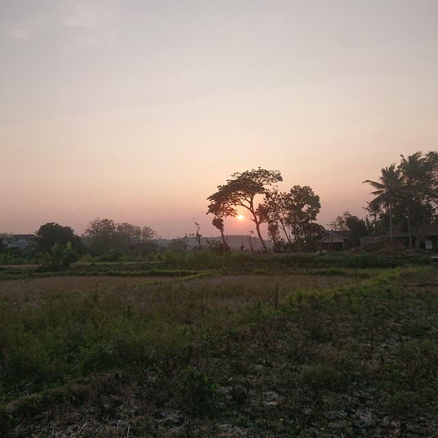 DSC 0147