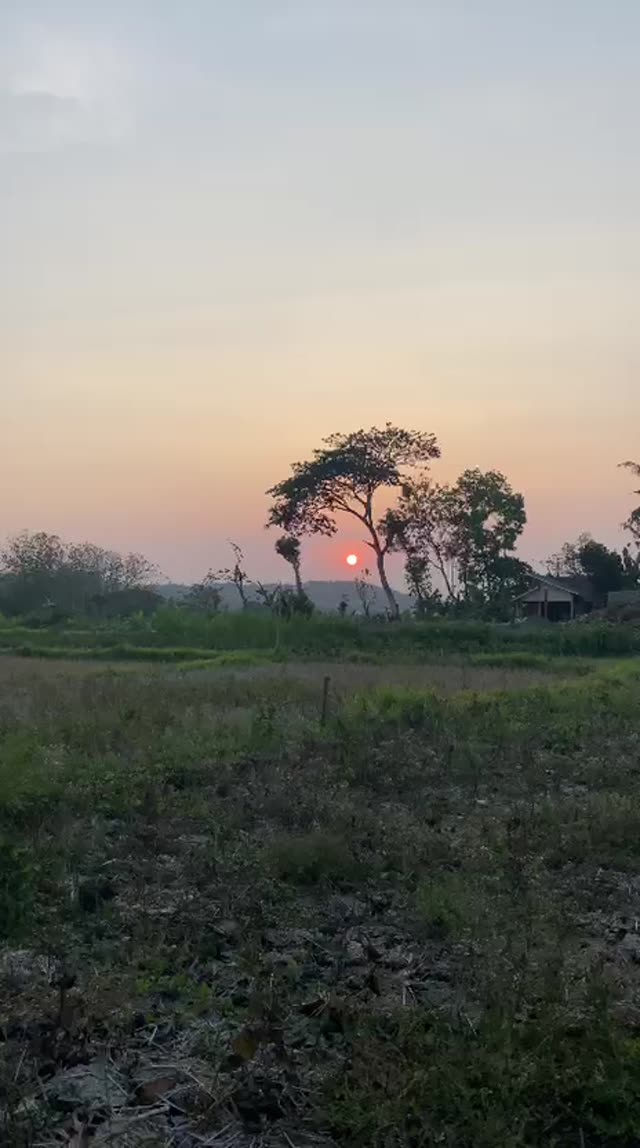 VID 20261013 WA0095